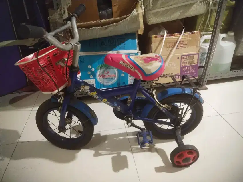 Sepeda anak2 merk pasific