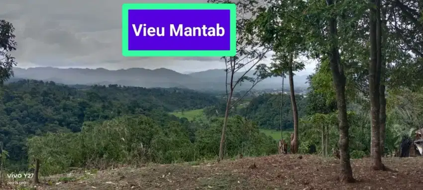 Di jual tanah kebun murah view pegunungan lokasi pamijahan bgr