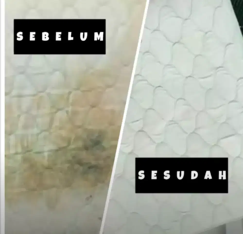 Jasa cuci sofa bed sofa cuci kasur jok mobil panggilan