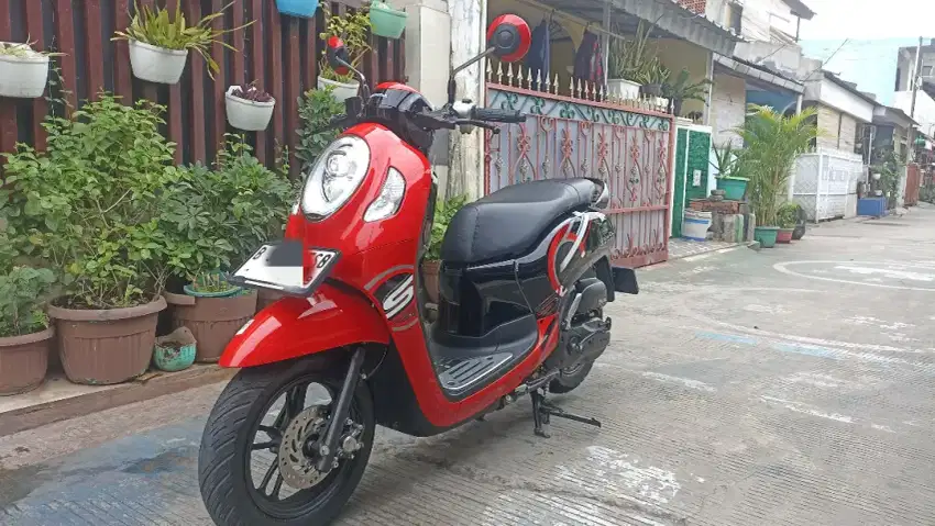 Honda Scoopy sporty 2024