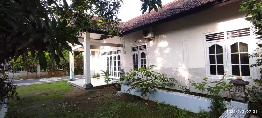 Rumah Besar, Halaman Luas, Tengah Kota