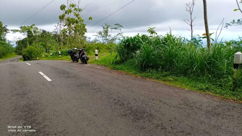 Dijual tanah murah,view waduk sermo,laut selatan dan bandara YIA