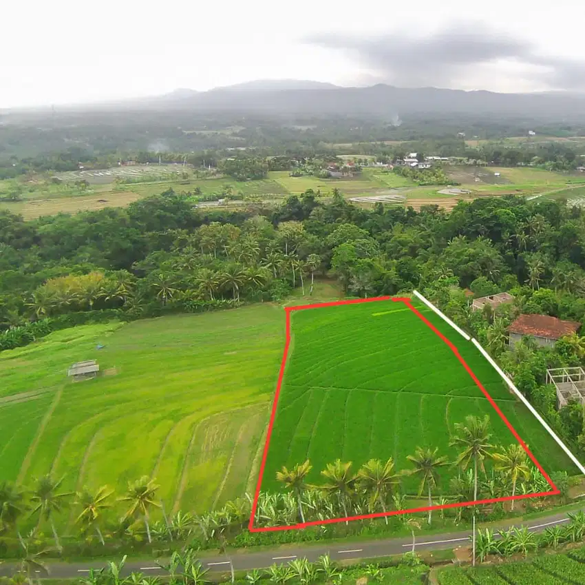 tanah murah tabanan pantai antap soka