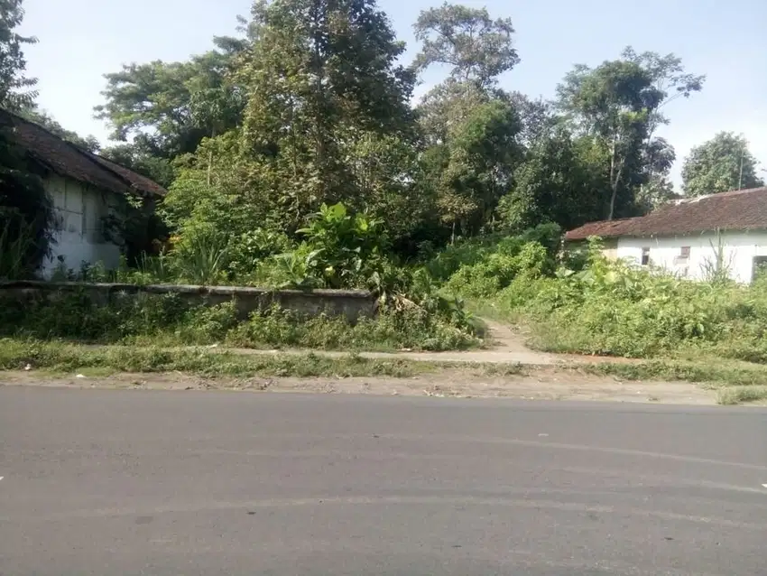 Jual Tanah Jl gajah mada semanding pare sugeng sekoto kediri