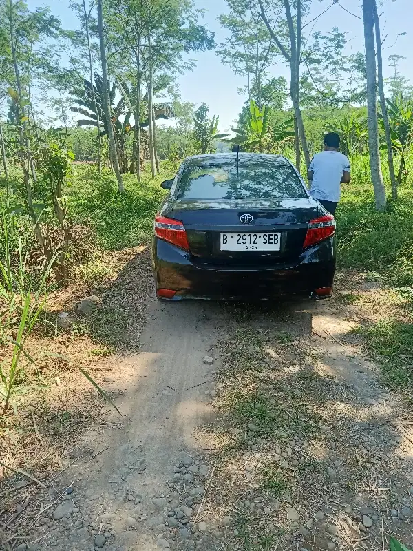 tanah kebun luas murah buat inves