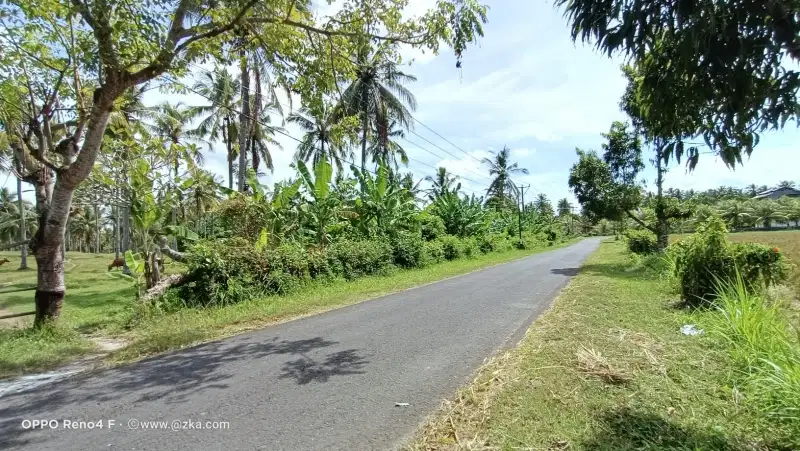 TANAH DATAR 10 HEKTAR, PINGGIR JALAN ASPAL DI  JEMBRANA BALI