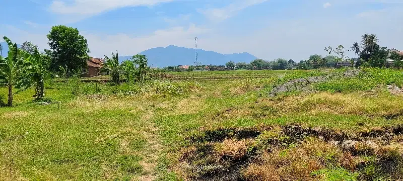 Disewakan Tanah Cocok Untuk Pombensin