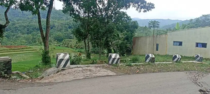 DIJUAL SAWAH TASIKMALAYA TARAJU