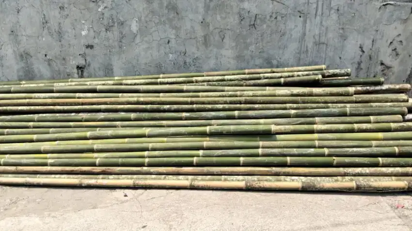 JUAL BAMBU STEGER UKURAN 5/7 PANJANG 6METER