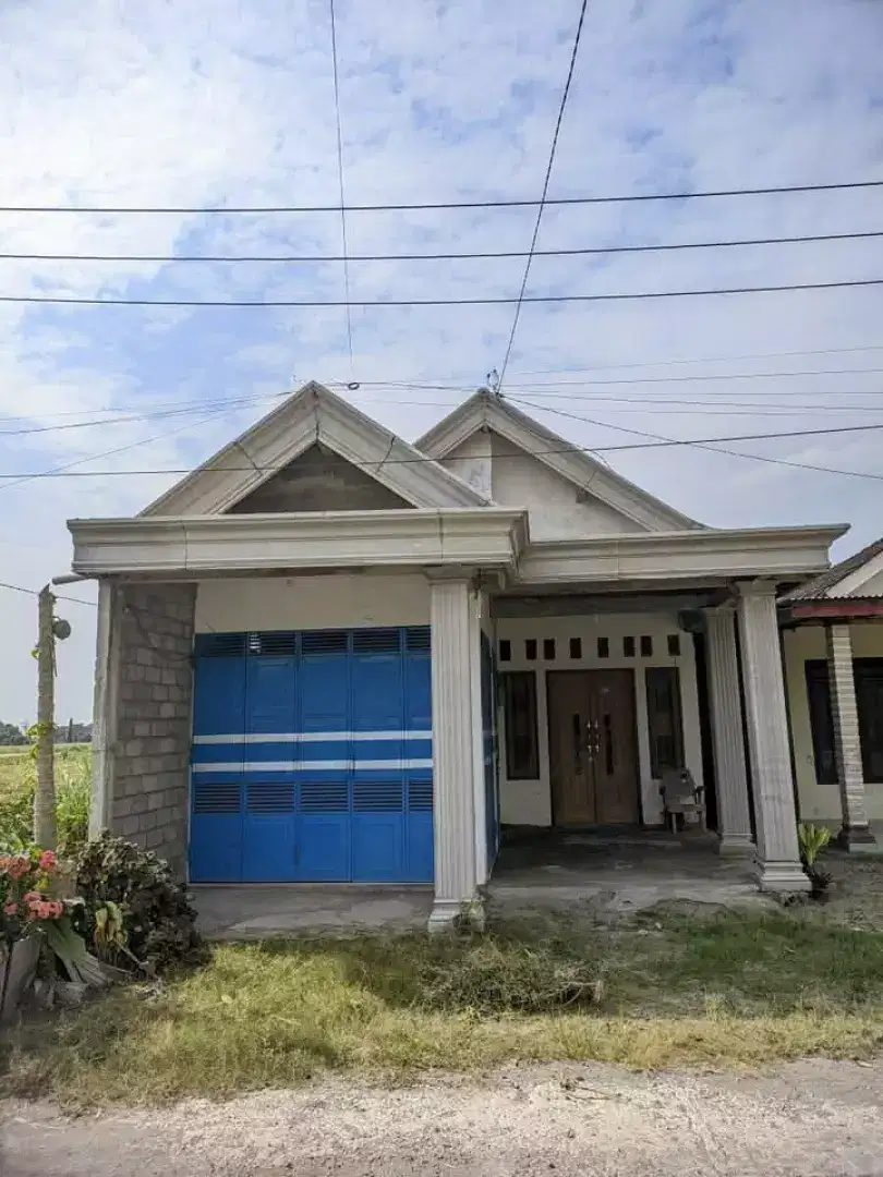 rumah di jual cepat