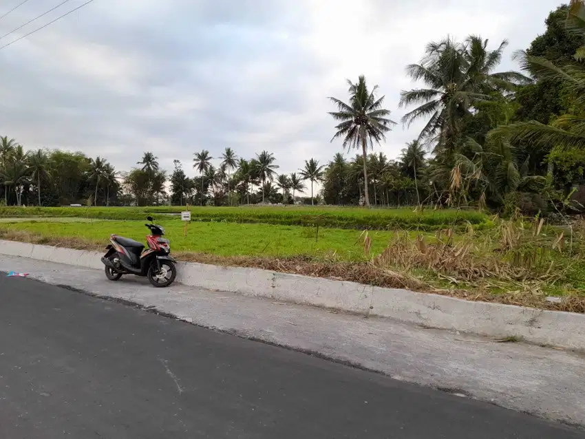 Dekat Candi Mendhut, Siap Bangun  Tanah Magelang Murah Borobudur