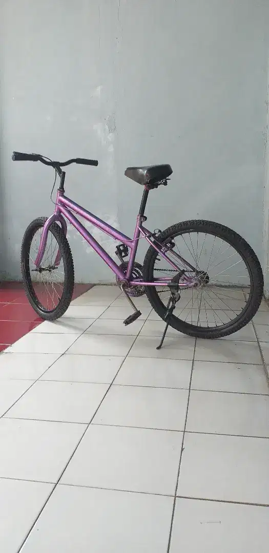 Sepeda ukuran ban 24
