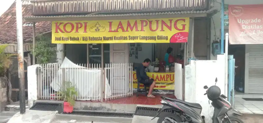 Agen Kopi Lampung Robusta