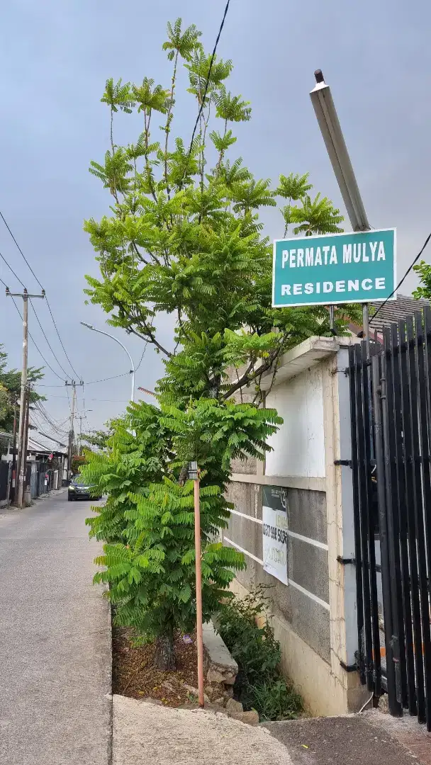 FOR RENT DISEWAKAN RUMAH SIAP HUNI