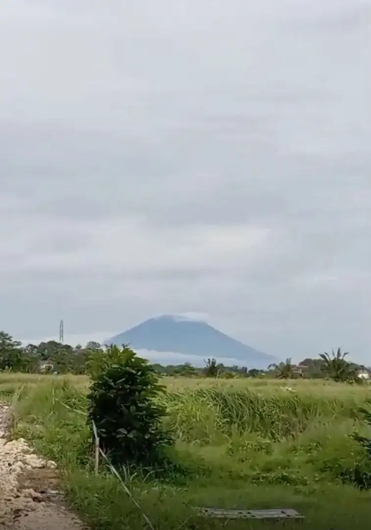 15mnit To Canggu luas 1 are Pantai Kedungu