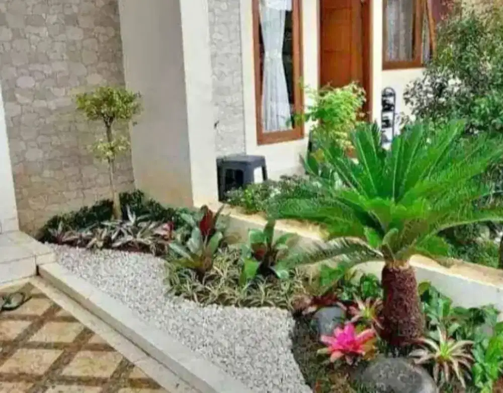 Taman kering tanaman tropis