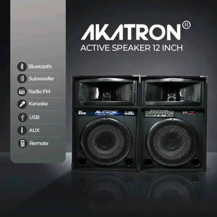 BIG BAS SPEAKER AKTIF 12INC