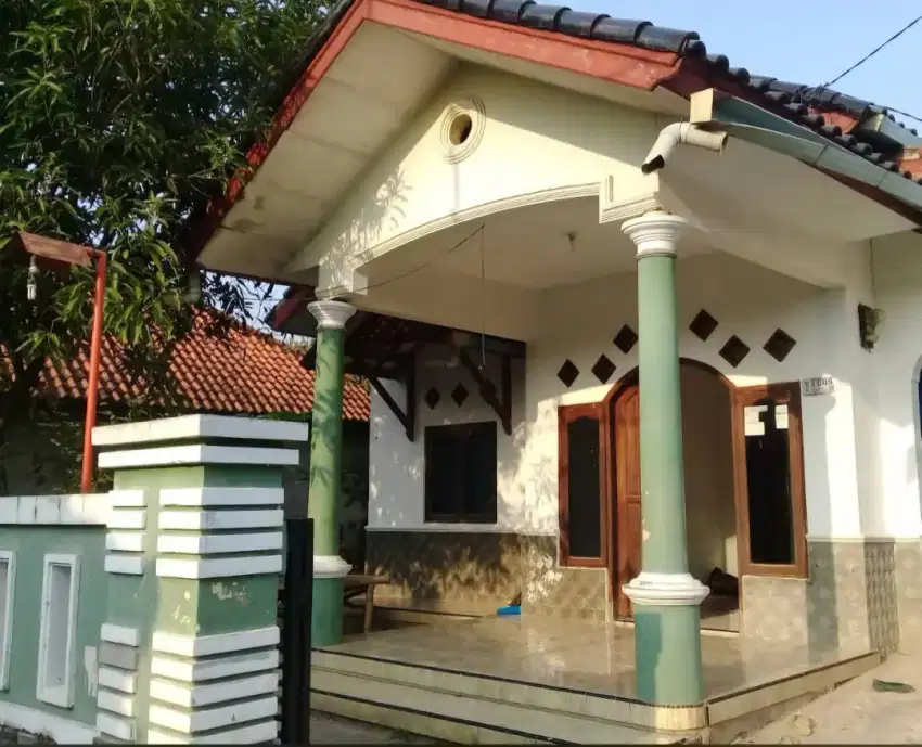 Rumah disewakan