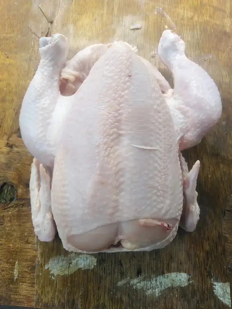 Terima Pemotongan Ayam dan Pemesanan Daging Ayam Fresh HALAL