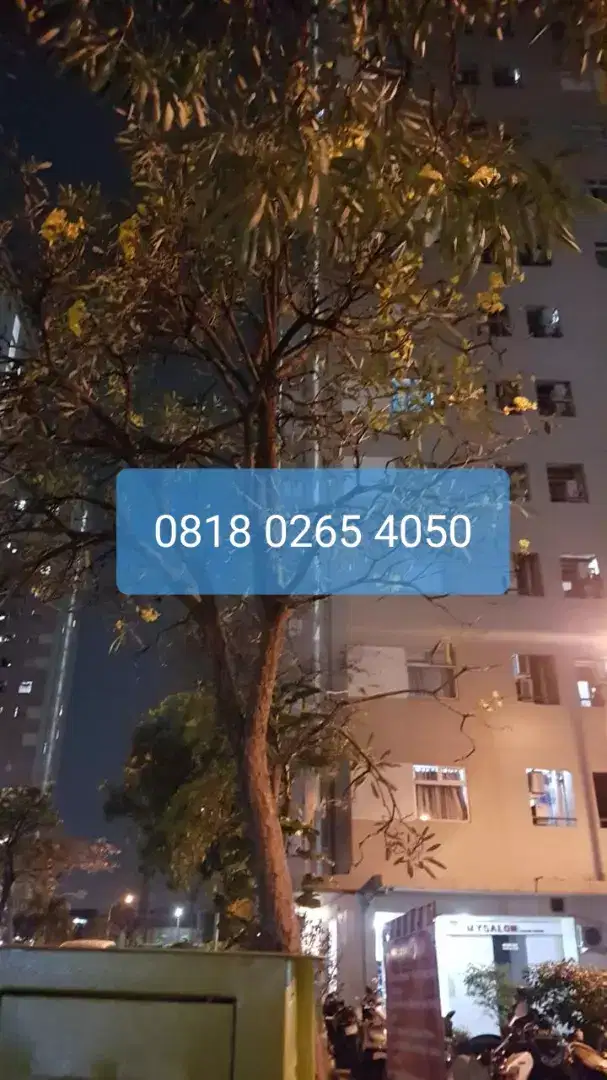 Mingguan harian transit ready sewa Apartemen Kalibata City 2BR Jakarta