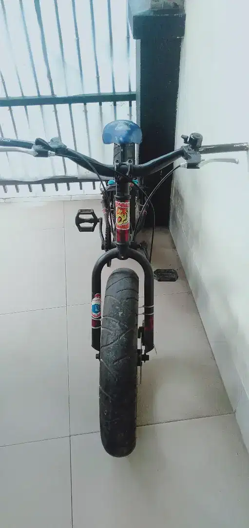 Jual Sepeda Wimcycle Ban Besar