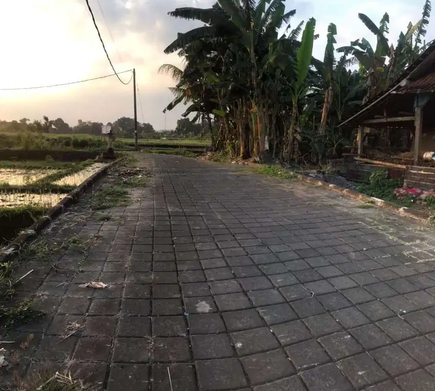 Tanah di kedungu hanya 20 menit ke canggu view sawah