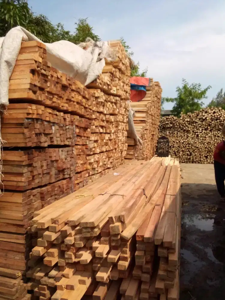 Jual bambu 6/7-8/10 panjang 6