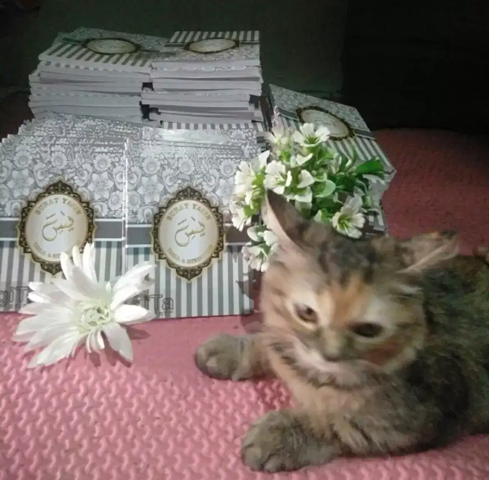 Buku yasin softcover 128 hal