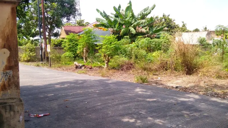 tanah di jalan gunung kidul  belakang alam Mayang