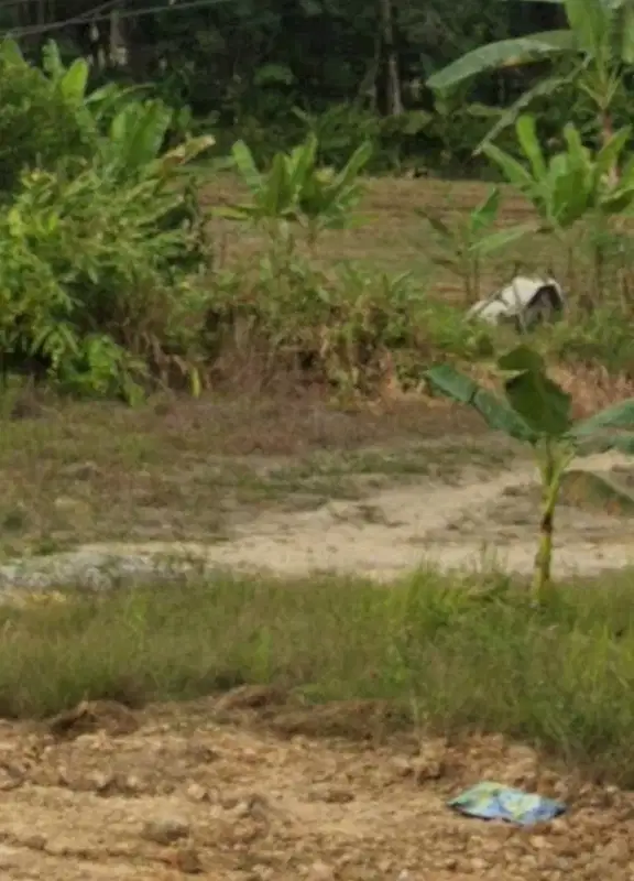 Lahan Besar Istimewa Balikpapan Samboja KM28 Dekat IKN