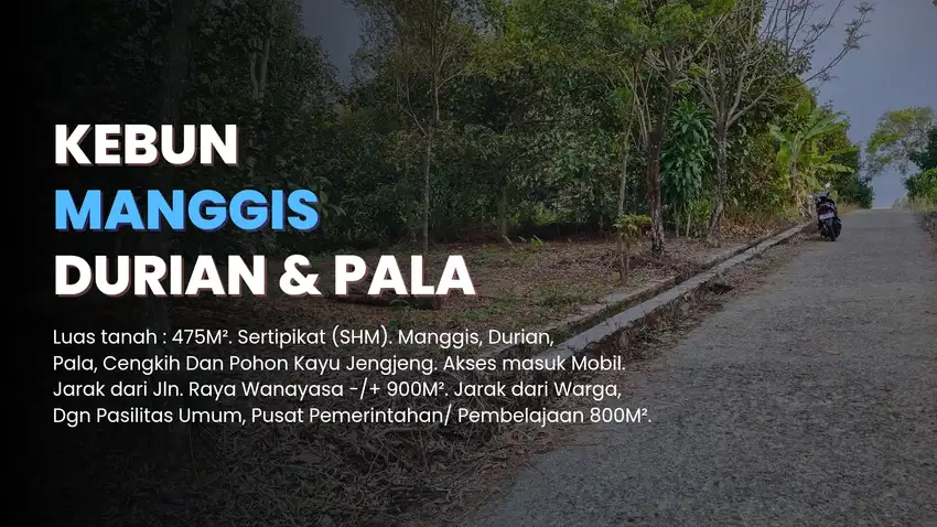 Tanah Murah || Manggis, Durian Dan Pohon Cengkeh Di Wanayasa