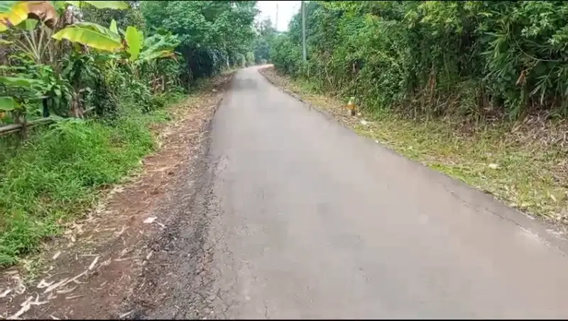 Di Jual Tanah Kebun Duren di Arga Pura Cigudeg Bogor