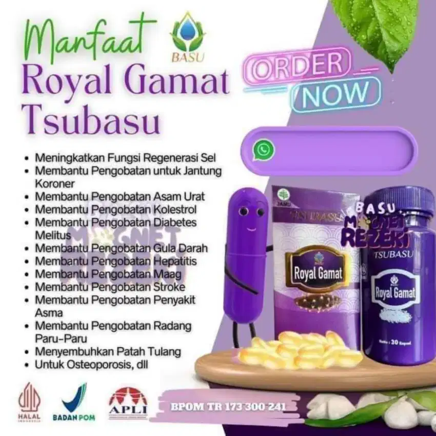 Royal Gamat Teripang emas untuk persendian tulang dan anti kanker