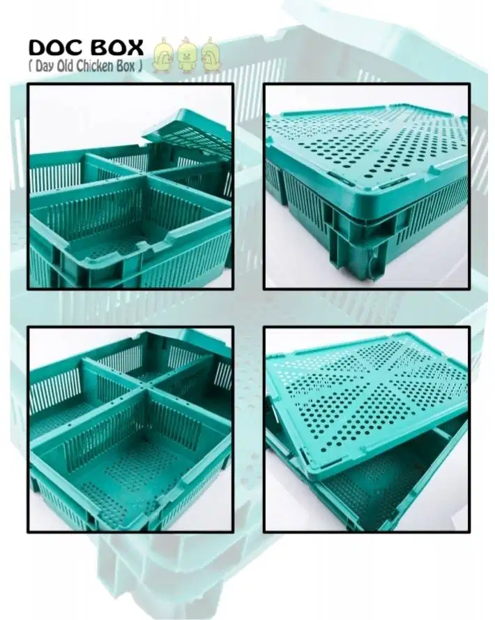 Days Old Chicken Doc Box Keranjang Anak Ayam Sekat 4