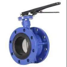 BUTTERFLY VALVE 2,5 INC DOUBLE FLANGE CI SS 304 316 TERDEKAT SURABAYA