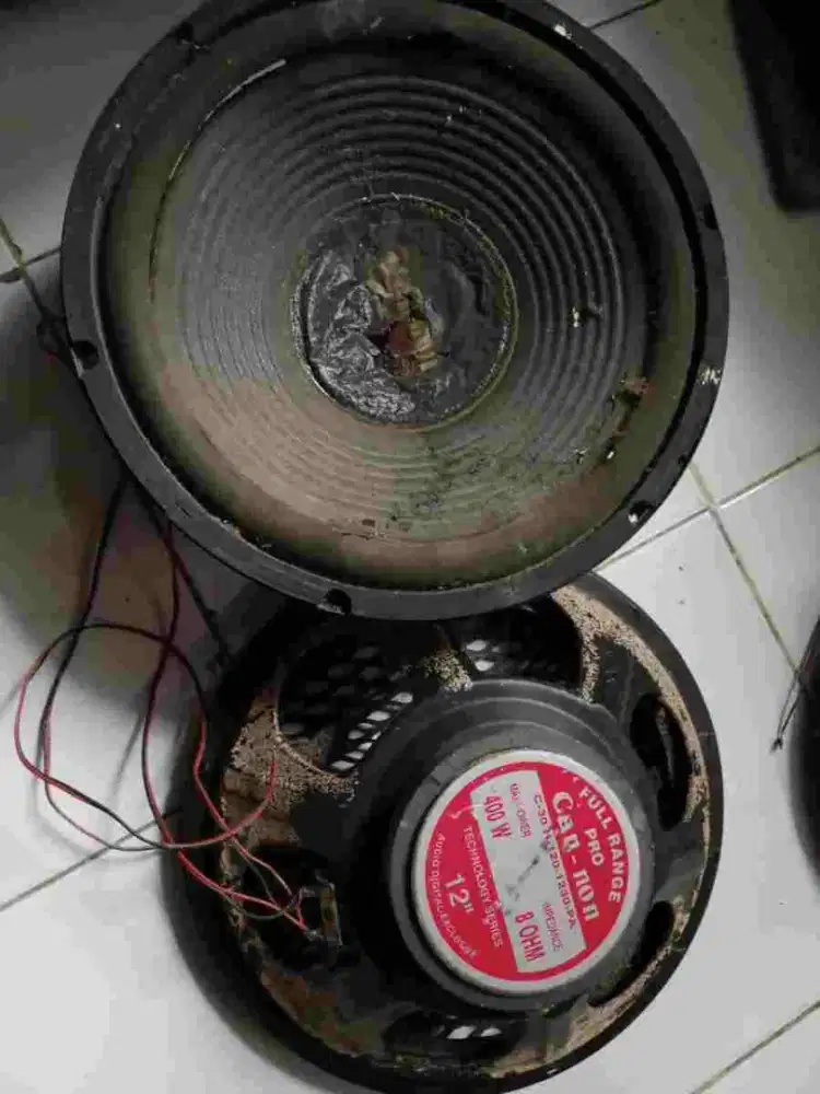 SPEAKER WOOFER KONDISI RUSAK MEREK CAN-NON PRO, DIAMETER '12 IN