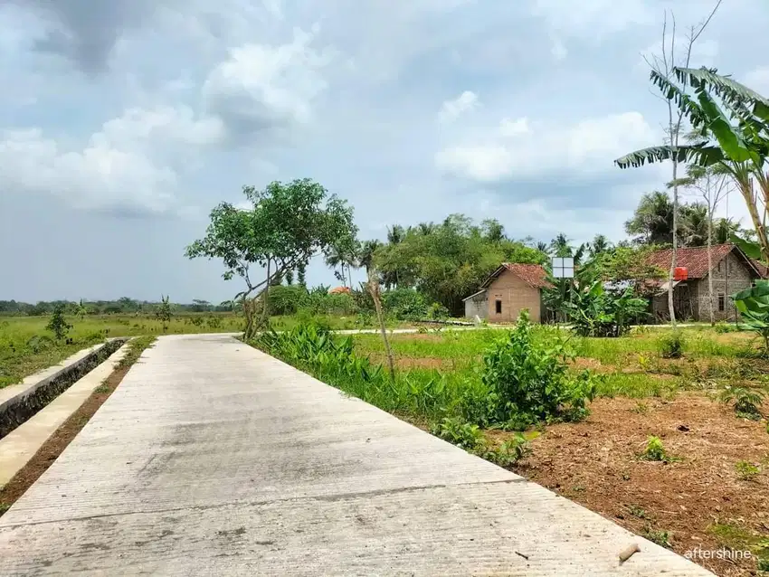 Pekarangan View Sawah Sumberagung Moyudan