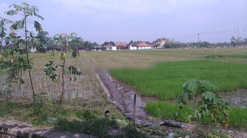 Tanah kering, siap bangun, pinggir jalan raya tasikmadu