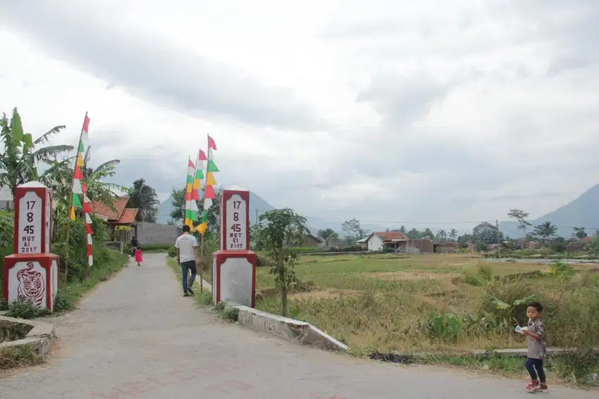 Dijual Tanah Sawah 100 Tumbak (1400 m2)