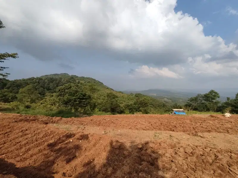 TANAH KEBUN / PETERNAKAN KUMPAY CIRANGKONG SUBANG