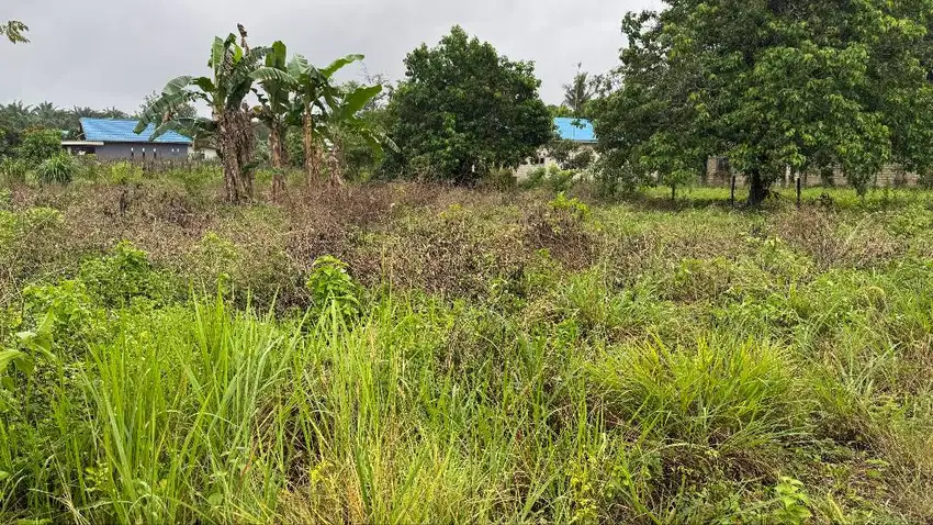 Tanah Strategis SHM Dijual, Dekat Permukiman dan SMKN 2 Pelaihari