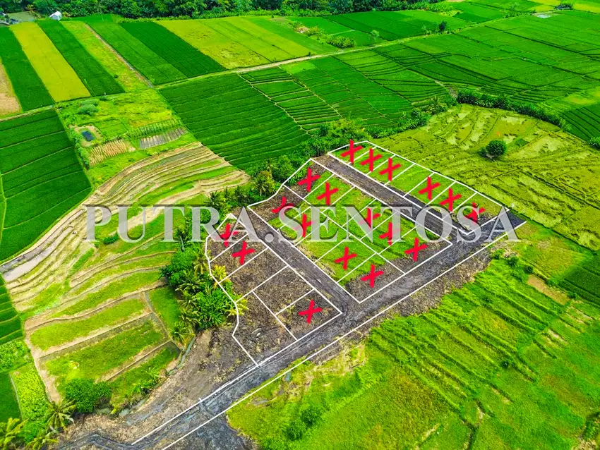 TANAH KEDUNGU DEKAT CANGGU ONE GATE JL 6 METER