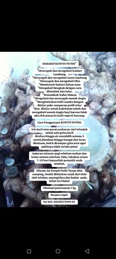 KUNYIT PUTIH ATASI KANGKER