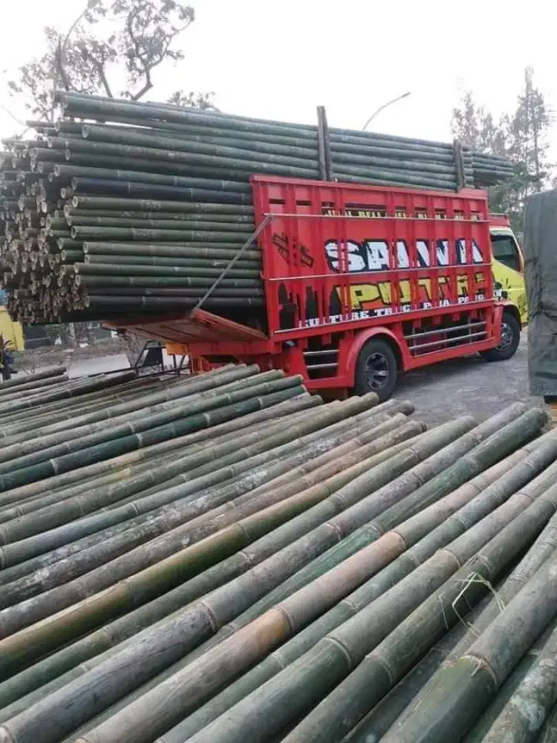 Jual bambu,Dolken,kaso,triplek