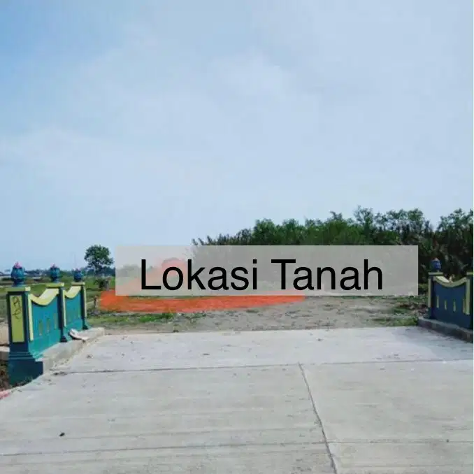 TANAH PEKARANGAN TERMURAH SECILACAP