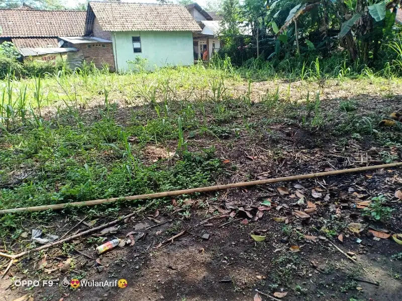 Tanah murah Area Pemukiman Dekat Pesantren Di Gondanglegi Malang