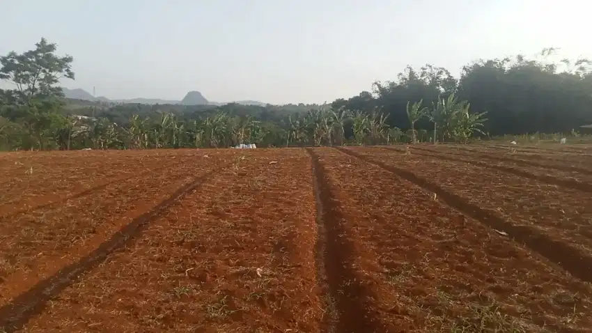 SEWA/OVER ALIH GARAPAN MURAH TAPI TIDAK MURAHAN!!!
