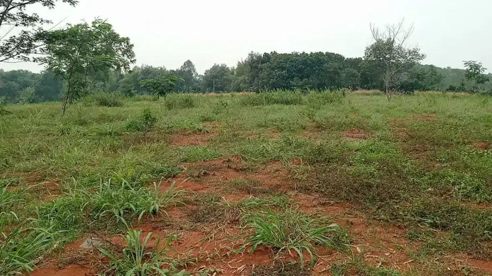 SEWA/OVER ALIH GARAPAN MURAH TAPI TIDAK MURAHAN