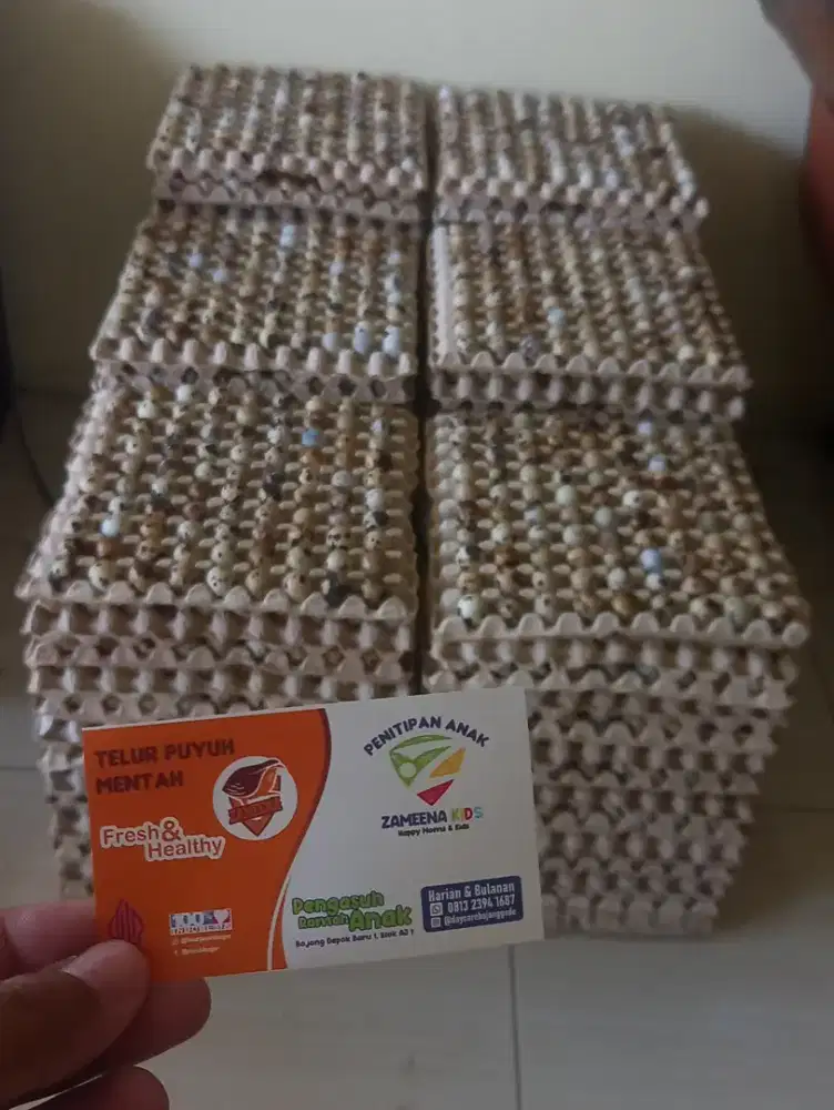Telur Puyuh Fresh