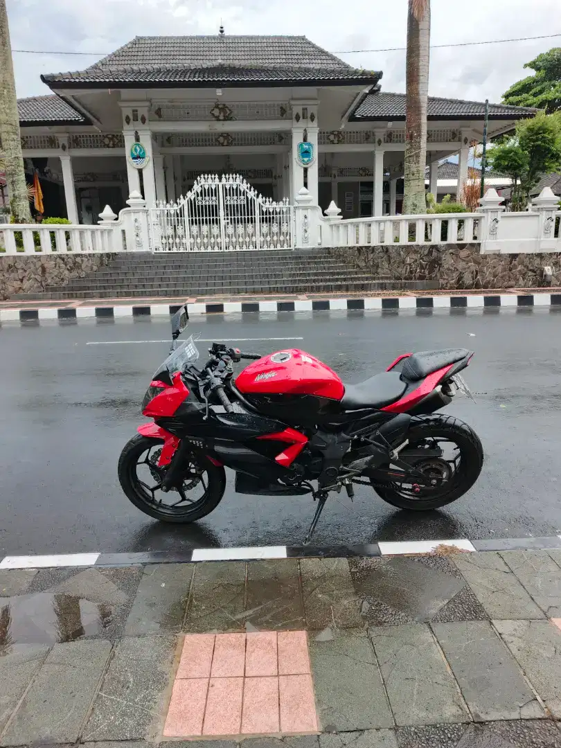 Kawasaki ninja 250 sl 2016